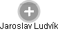  Jaroslav Ludvík - Vizualizace  propojení osoby a firem v obchodním rejstříku