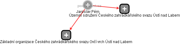Jaroslav Pém - Vizualizace  propojení osoby a firem v obchodním rejstříku