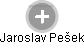  Jaroslav Pešek - Vizualizace  propojení osoby a firem v obchodním rejstříku