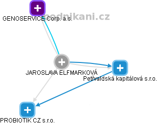  Jaroslava E. - Vizualizace  propojení osoby a firem v obchodním rejstříku