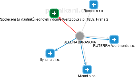 JELENA BARANOVA - Vizualizace  propojení osoby a firem v obchodním rejstříku
