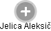 Jelica Aleksič - Vizualizace  propojení osoby a firem v obchodním rejstříku