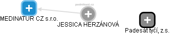  Jessica H. - Vizualizace  propojení osoby a firem v obchodním rejstříku