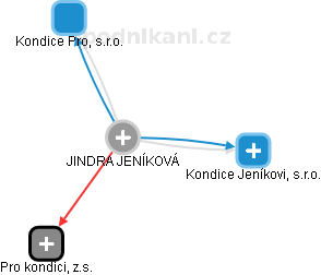 JINDRA JENÍKOVÁ - Vizualizace  propojení osoby a firem v obchodním rejstříku
