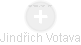 Jindřich Votava - Vizualizace  propojení osoby a firem v obchodním rejstříku