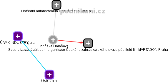 Jindřiška Halašová - Vizualizace  propojení osoby a firem v obchodním rejstříku