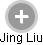 Jing Liu - Vizualizace  propojení osoby a firem v obchodním rejstříku