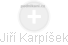  Jiří Karpíšek - Vizualizace  propojení osoby a firem v obchodním rejstříku