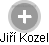  Jiří Kozel - Vizualizace  propojení osoby a firem v obchodním rejstříku