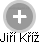 Jiří Kříž - Vizualizace  propojení osoby a firem v obchodním rejstříku