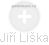  Jiří Liška - Vizualizace  propojení osoby a firem v obchodním rejstříku