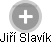  Jiří Slavík - Vizualizace  propojení osoby a firem v obchodním rejstříku