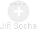 Jiří Socha - Vizualizace  propojení osoby a firem v obchodním rejstříku