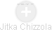 Jitka Chizzola - Vizualizace  propojení osoby a firem v obchodním rejstříku