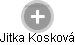 Jitka Kosková - Vizualizace  propojení osoby a firem v obchodním rejstříku