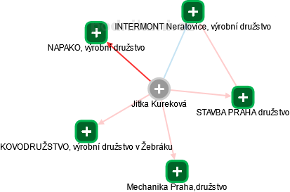 Jitka Kureková - Vizualizace  propojení osoby a firem v obchodním rejstříku