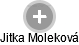 Jitka Moleková - Vizualizace  propojení osoby a firem v obchodním rejstříku