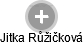 Jitka Růžičková - Vizualizace  propojení osoby a firem v obchodním rejstříku
