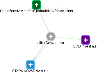 Jitka Schwanová - Vizualizace  propojení osoby a firem v obchodním rejstříku