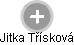 Jitka Třísková - Vizualizace  propojení osoby a firem v obchodním rejstříku