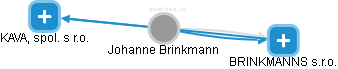 Johanne Brinkmann - Vizualizace  propojení osoby a firem v obchodním rejstříku