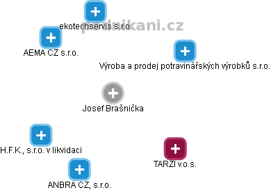 Josef Brašnička - Vizualizace  propojení osoby a firem v obchodním rejstříku