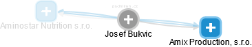 Josef Bukvic - Vizualizace  propojení osoby a firem v obchodním rejstříku