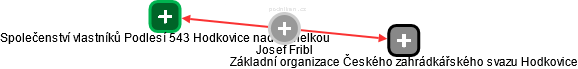 Josef Fribl - Vizualizace  propojení osoby a firem v obchodním rejstříku