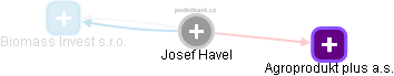 Josef Havel - Vizualizace  propojení osoby a firem v obchodním rejstříku