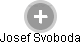 Josef Svoboda - Vizualizace  propojení osoby a firem v obchodním rejstříku
