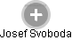 Josef Svoboda - Vizualizace  propojení osoby a firem v obchodním rejstříku