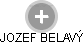 JOZEF BELAVÝ - Vizualizace  propojení osoby a firem v obchodním rejstříku
