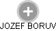 JOZEF BORUV - Vizualizace  propojení osoby a firem v obchodním rejstříku