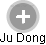 Ju Dong - Vizualizace  propojení osoby a firem v obchodním rejstříku