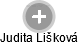 Judita Lišková - Vizualizace  propojení osoby a firem v obchodním rejstříku