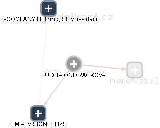 JUDITA ONDRACKOVA - Vizualizace  propojení osoby a firem v obchodním rejstříku