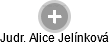  Alice J. - Vizualizace  propojení osoby a firem v obchodním rejstříku