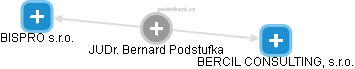 Bernard Podstufka - Vizualizace  propojení osoby a firem v obchodním rejstříku