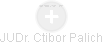Ctibor Palich - Vizualizace  propojení osoby a firem v obchodním rejstříku