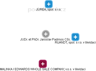  Padrnos J. - Vizualizace  propojení osoby a firem v obchodním rejstříku