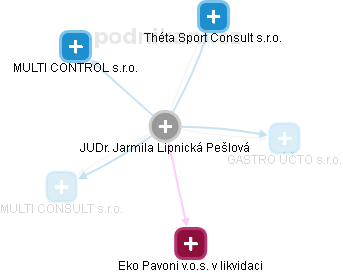  Lipnická J. - Vizualizace  propojení osoby a firem v obchodním rejstříku