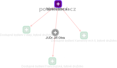  Jiří O. - Vizualizace  propojení osoby a firem v obchodním rejstříku