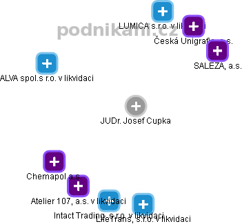 Josef Cupka - Vizualizace  propojení osoby a firem v obchodním rejstříku