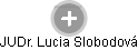 Lucia Slobodová - Vizualizace  propojení osoby a firem v obchodním rejstříku