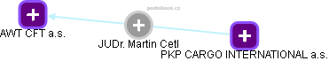 Martin Cetl - Vizualizace  propojení osoby a firem v obchodním rejstříku