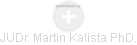 Martin Kalista - Vizualizace  propojení osoby a firem v obchodním rejstříku