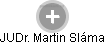 Martin Sláma - Vizualizace  propojení osoby a firem v obchodním rejstříku