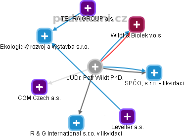 Petr Wildt - Vizualizace  propojení osoby a firem v obchodním rejstříku