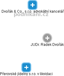 Radek Dvořák - Vizualizace  propojení osoby a firem v obchodním rejstříku