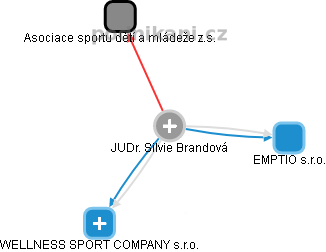 Silvie Brandová - Vizualizace  propojení osoby a firem v obchodním rejstříku